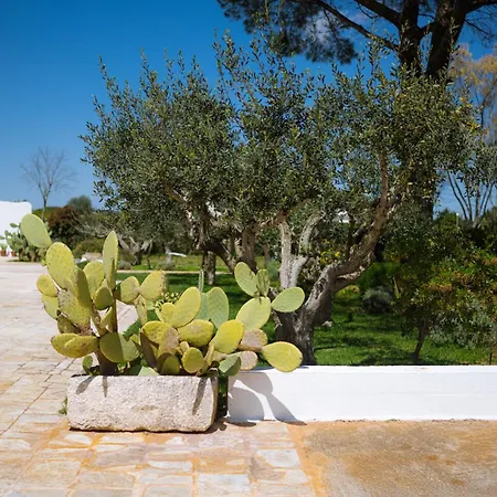Bed & Breakfast Masseria San Michele Martina Franca
