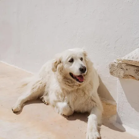 Masseria San Michele Nocleg ze śniadaniem