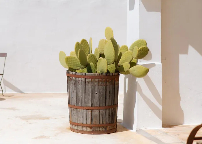 Bed & Breakfast Masseria San Michele Martina Franca