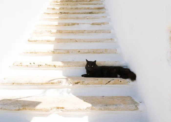 Masseria San Michele